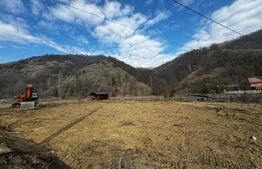 Teren intravilan cu căbănuță, 3797 mp, Valea Mănăstirii Râmeț
