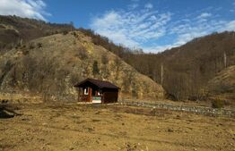 Teren intravilan cu căbănuță, 3797 mp, Valea Mănăstirii Râmeț