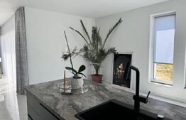 Casa individuala de exceptie, 6 camere, 188 mp utili, Sebes 