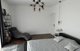 Casa individuala de exceptie, 6 camere, 188 mp utili, Sebes 