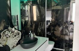 Casa individuala de exceptie, 6 camere, 188 mp utili, Sebes 