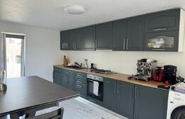 Casa individuala de exceptie, 6 camere, 188 mp utili, Sebes 