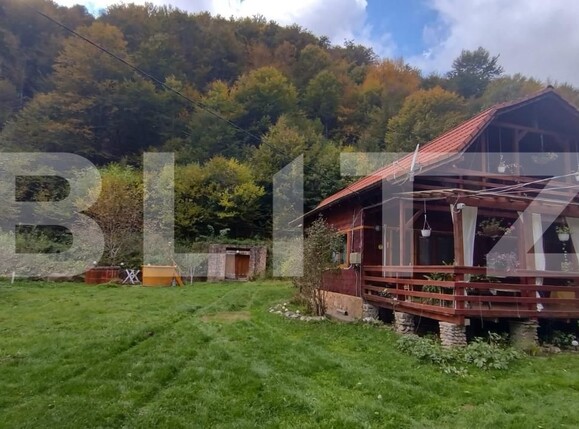 Casa de vânzare 4 camere Lunca Larga (Ocolis) - 162703CV | BLITZ Alba Iulia | Poza3
