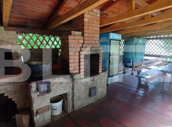 Casa de vânzare 4 camere Lunca Larga (Ocolis) - 162703CV | BLITZ Alba Iulia | Poza6