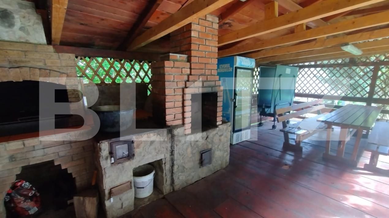 Casa de vânzare 4 camere Lunca Larga (Ocolis) - 162703CV | BLITZ Alba Iulia | Poza6