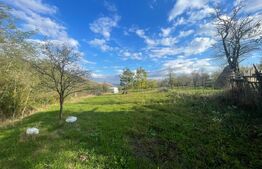 Teren Intravilan Paclisa, 1785mp