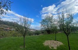 Teren Intravilan Paclisa, 1785mp