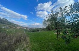 Teren Intravilan Paclisa, 1785mp