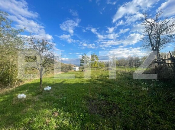 Teren de vânzare Paclisa - 162707TV | BLITZ Alba Iulia | Poza1