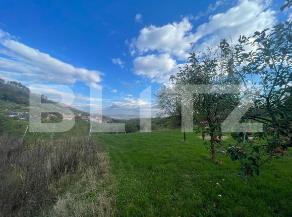 Teren de vânzare Paclisa - 162707TV | BLITZ Alba Iulia | Poza4