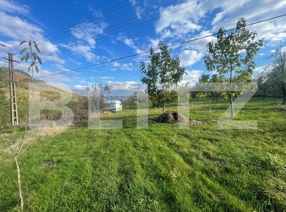 Teren de vânzare Paclisa - 162707TV | BLITZ Alba Iulia | Poza2