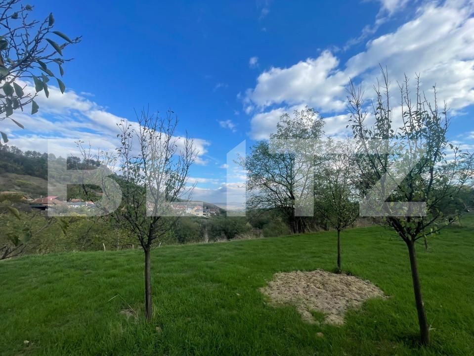 Teren de vânzare Paclisa - 162707TV | BLITZ Alba Iulia | Poza3