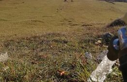 Teren de vanzare, Scarisoara,  ideal pentru cabana 