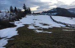 Teren de vanzare, Scarisoara,  ideal pentru cabana 