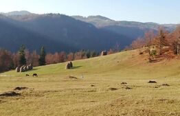 Teren de vanzare, Scarisoara,  ideal pentru cabana 