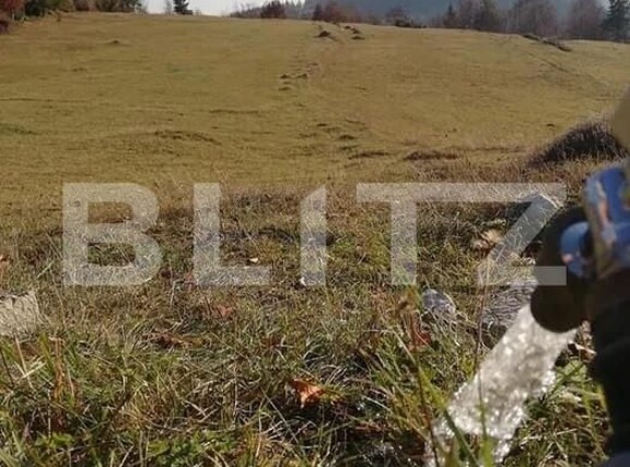Teren de vânzare Scarisoara - 162710TV | BLITZ Alba Iulia | Poza4