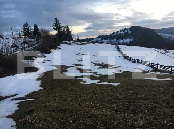 Teren de vânzare Scarisoara - 162710TV | BLITZ Alba Iulia | Poza2