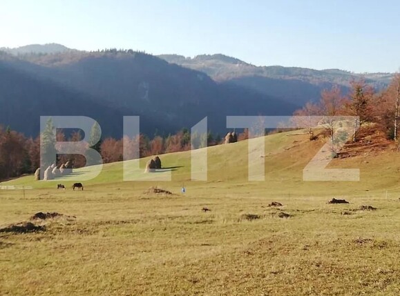 Teren de vânzare Scarisoara - 162710TV | BLITZ Alba Iulia | Poza1