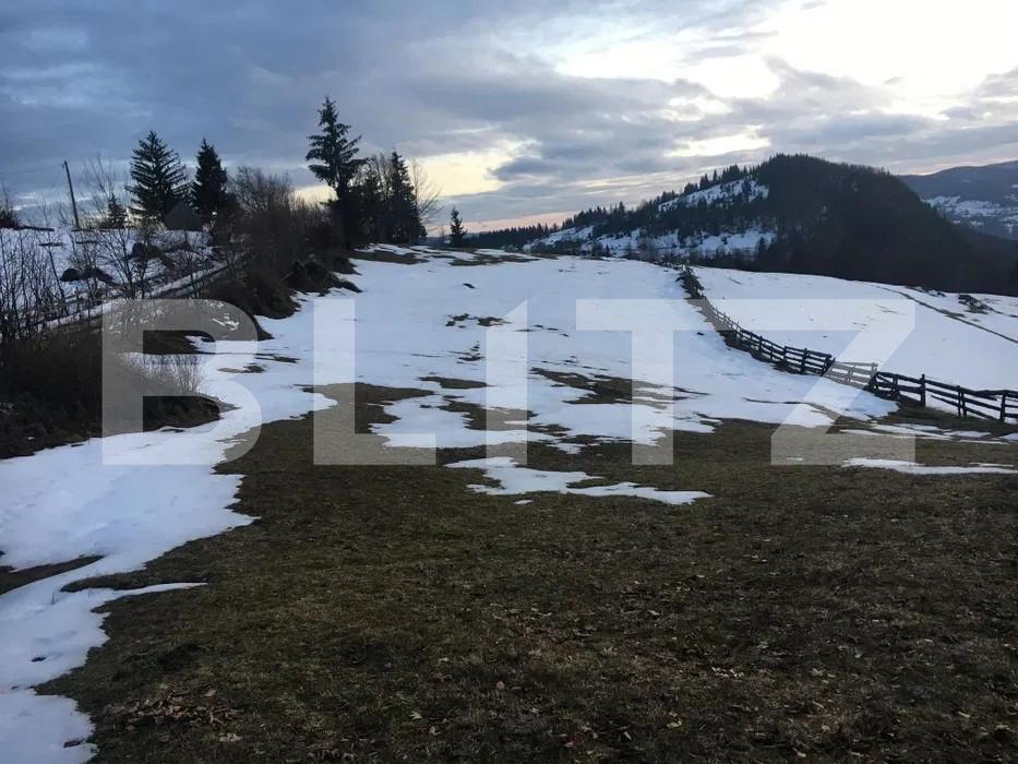Teren de vânzare Scarisoara - 162710TV | BLITZ Alba Iulia | Poza2