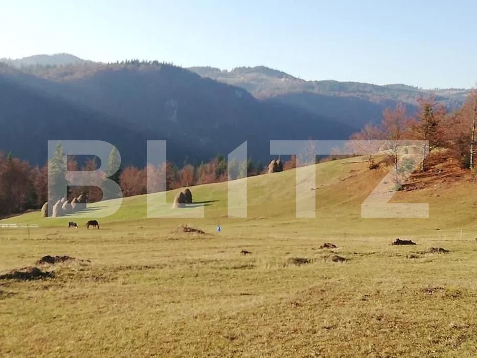 Teren de vânzare Scarisoara - 162710TV | BLITZ Alba Iulia | Poza1