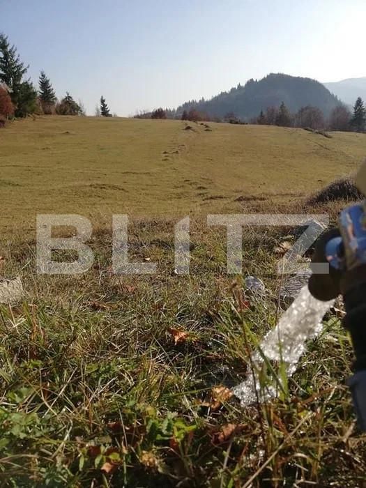 Teren de vânzare Scarisoara - 162710TV | BLITZ Alba Iulia | Poza4