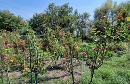 Casa individuala in Oiejdea ,125mp utili ,1422 mp teren 