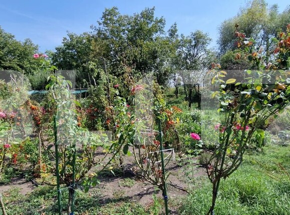 Casa de vânzare 3 camere Oiejdea - 162720CV | BLITZ Alba Iulia | Poza6