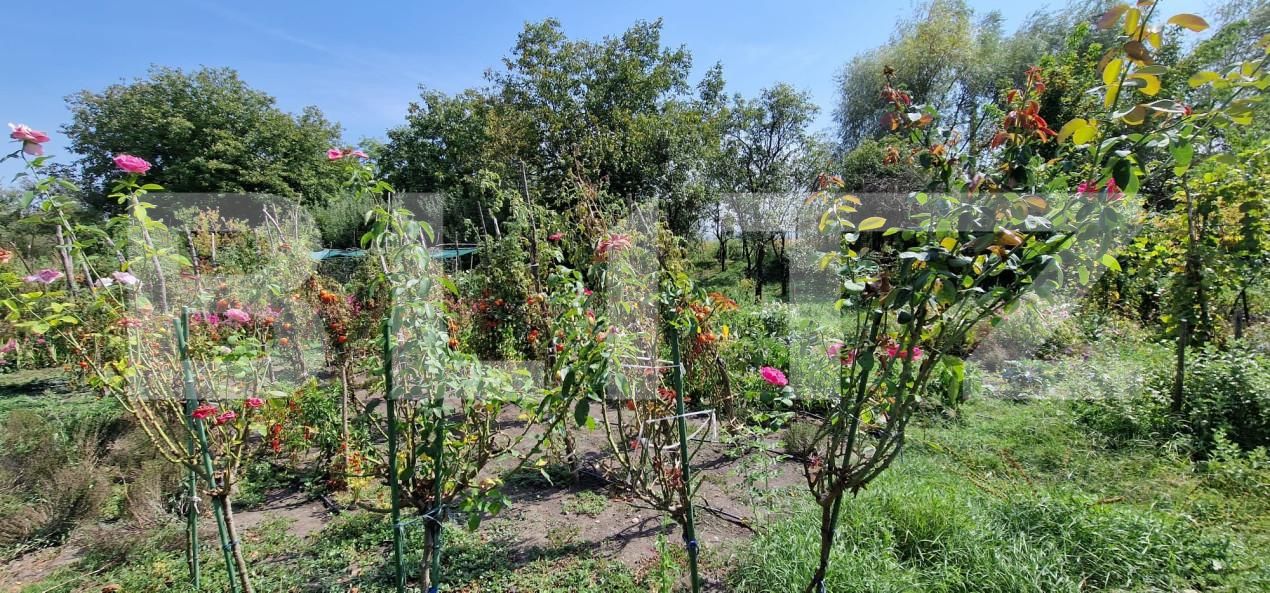 Casa de vânzare 3 camere Oiejdea - 162720CV | BLITZ Alba Iulia | Poza6