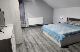 Casa individuala, cu 4 camere, 240 mp utili, zona-Micesti