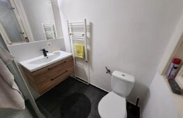 Casa deosebita, 3 camere, 200 mp utili, Centru