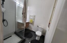 Casa deosebita, 3 camere, 200 mp utili, Centru