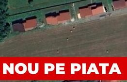 Teren de vânzare Micești - 189994TV | BLITZ Alba Iulia | Poza5