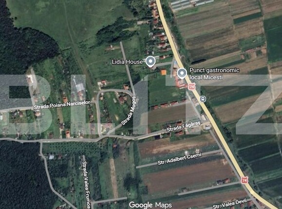 Teren de vânzare Sard - 162849TV | BLITZ Alba Iulia | Poza1