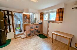 Spatiu comercial de vanzare 21 mp, zona Cetate