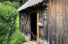 Casa de vacanta, cu 5 camere, 100 mp utili, Alba-Iulia