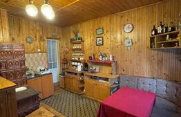 Casa de vacanta, cu 5 camere, 100 mp utili, Alba-Iulia