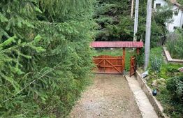 Casa de vacanta, cu 5 camere, 100 mp utili, Alba-Iulia