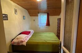 Casa de vacanta, cu 5 camere, 100 mp utili, Alba-Iulia