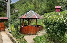 Casa de vacanta, cu 5 camere, 100 mp utili, Alba-Iulia