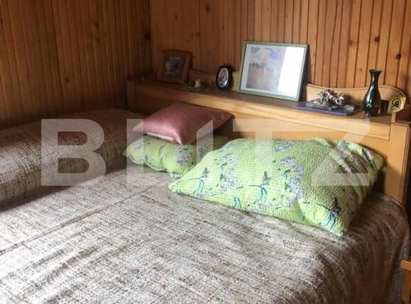 Casa de vânzare 5 camere Intregalde - 162950CV | BLITZ Alba Iulia | Poza12