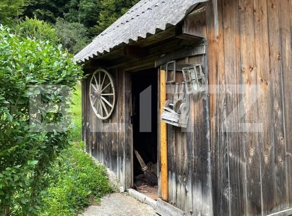 Casa de vânzare 5 camere Intregalde - 162950CV | BLITZ Alba Iulia | Poza14