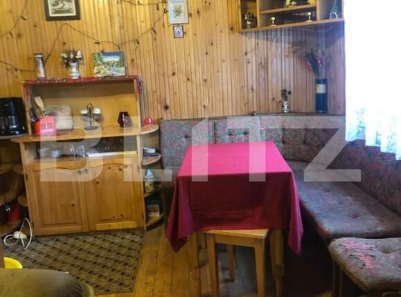 Casa de vânzare 5 camere Intregalde - 162950CV | BLITZ Alba Iulia | Poza8