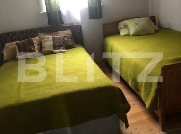 Casa de vânzare 5 camere Intregalde - 162950CV | BLITZ Alba Iulia | Poza10