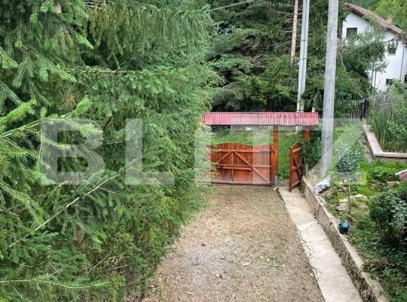 Casa de vânzare 5 camere Intregalde - 162950CV | BLITZ Alba Iulia | Poza3