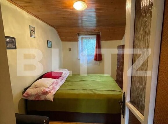 Casa de vânzare 5 camere Intregalde - 162950CV | BLITZ Alba Iulia | Poza11