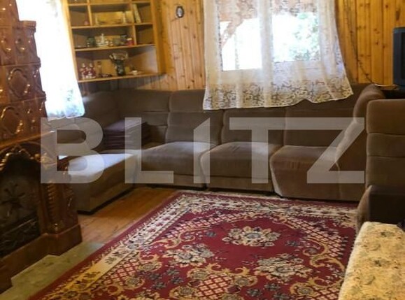 Casa de vânzare 5 camere Intregalde - 162950CV | BLITZ Alba Iulia | Poza7