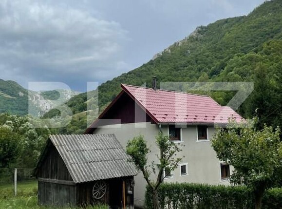 Casa de vânzare 5 camere Intregalde - 162950CV | BLITZ Alba Iulia | Poza1