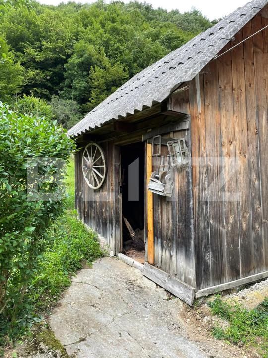 Casa de vânzare 5 camere Intregalde - 162950CV | BLITZ Alba Iulia | Poza14