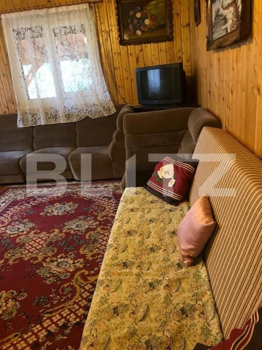 Casa de vânzare 5 camere Intregalde - 162950CV | BLITZ Alba Iulia | Poza9