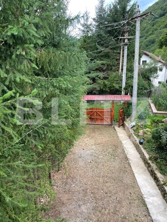 Casa de vânzare 5 camere Intregalde - 162950CV | BLITZ Alba Iulia | Poza3